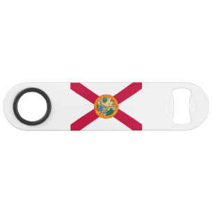 Drapeau d'État de Floride