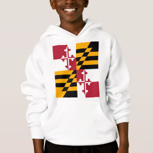 Drapeau d'état du Maryland élégant