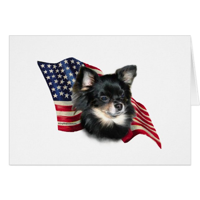 Drapeau du Chihuahua (Devant horizontal)