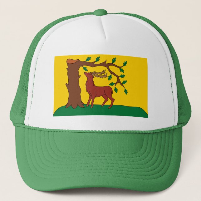 Drapeau du comté historique de Berkshire Casquette (Devant)