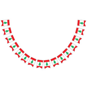 Drapeau du Liban