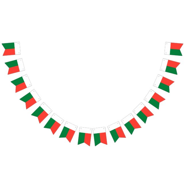 Drapeau du Madagascar (Tout)