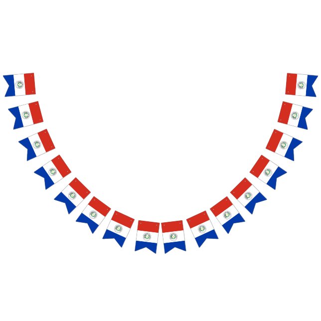 Drapeau du Paraguay (Tout)