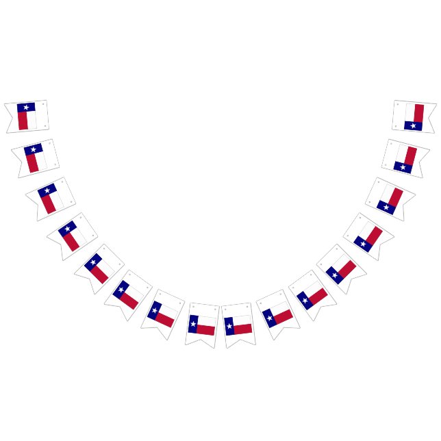 Drapeau étoile solitaire du Texas (Tout)