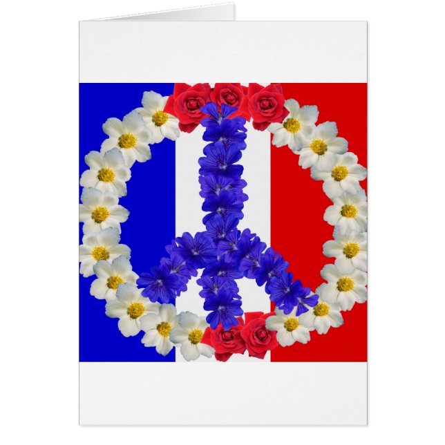 drapeau français (Devant)