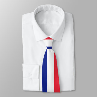 Drapeau français de cravate de coutume de la