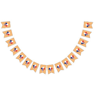 Drapeau Français & Fleur De Lys Party France / Ban