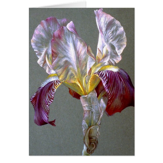 Drapeau Iris fleurie botanique belle carte blanche (Devant)
