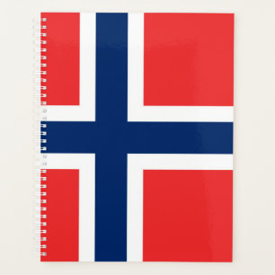 Drapeau norvégien