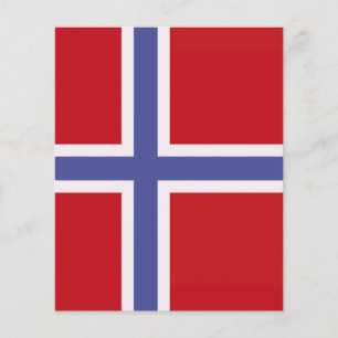 Drapeau norvégien