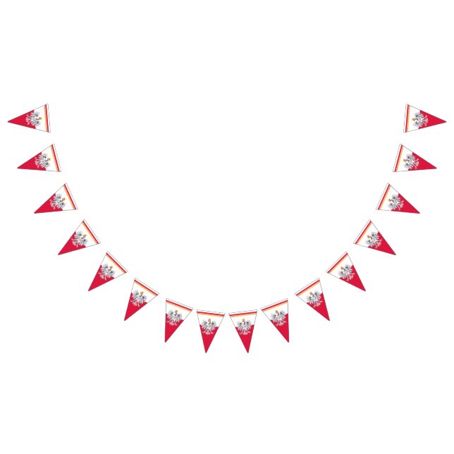 Drapeau polonais et Parti Pologne Aigle bannières  (Tout)