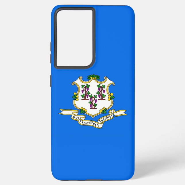 Drapeau Samsung Galaxy S21 Ultra Coque du Connecti (Verso)
