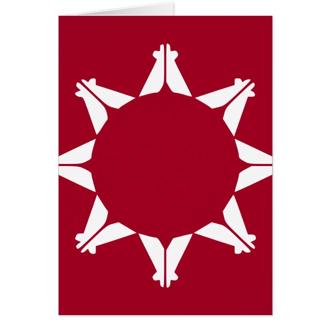 Drapeau sioux oglala lakota (Devant)