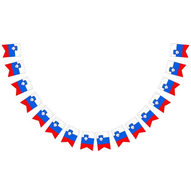 Drapeau Slovénie (Tout)