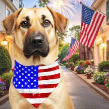 Drapeau USA patriotique