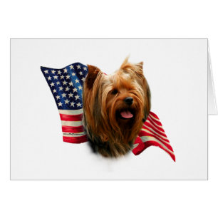 Drapeau Yorkshire Terrier