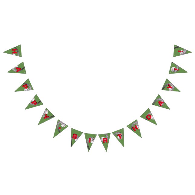 DRAPEAUX de bannière d'anniversaire de base-ball (Tout)