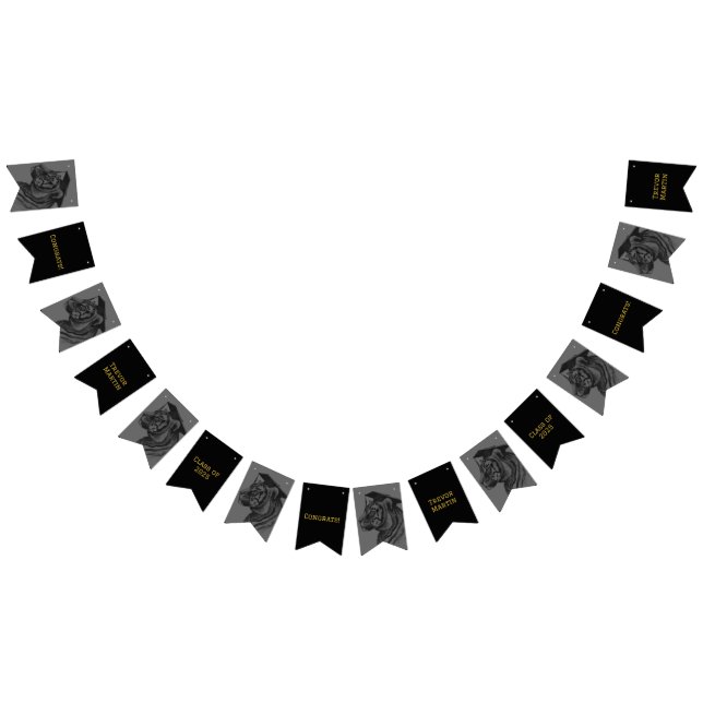 Drapeaux de Bunting Party de graduation (Tout)