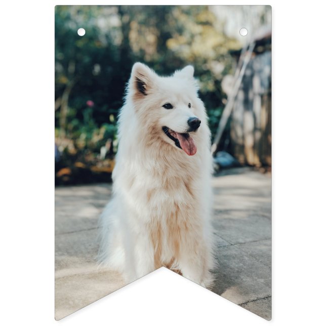 Drapeaux de lapin photo personnalisés chien d'anni (Cinquième drapeau)