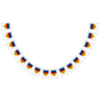 Drapeaux de Transylvanie