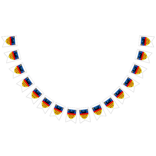 Drapeaux de Transylvanie (Tout)