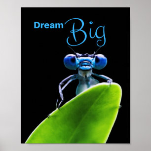 Dream Big Dragonfly Motivational Poster