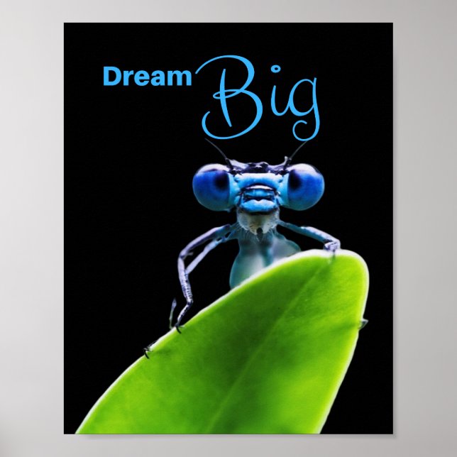 Dream Big Dragonfly Motivational Poster (Devant)