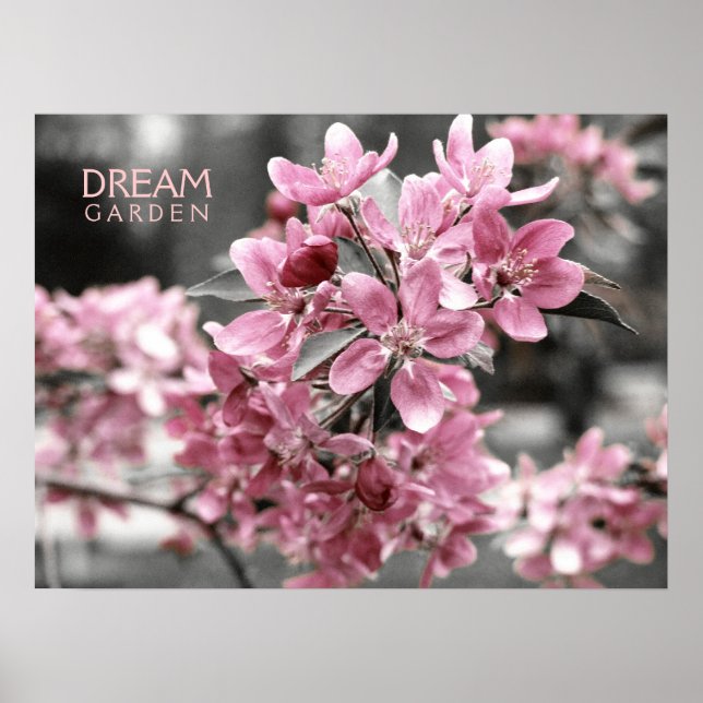 Dream Garden Poster (Devant)