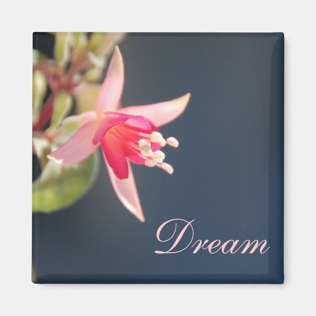 Dream Magnet (Devant)