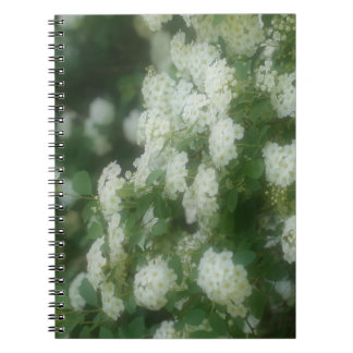 Dreamfred Wild White Roses Carnet naturel
