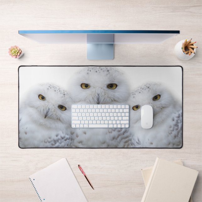 Dreamy Snowy Ows Famille Amusante Avoir un Hoot (Bureau 1)