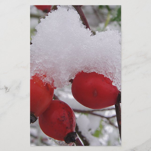 Drei Hagebutten mit Schnee (Devant)