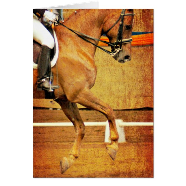 Dressage (Devant)