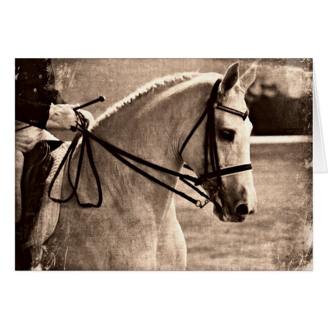 Dressage Grunge (Devant horizontal)