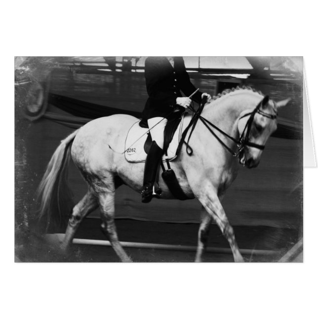 Dressage Horse Grunge (Devant horizontal)