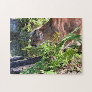 Drinking Cougar - Florida Panther Puzzle