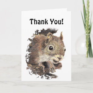Drôle, Aurait Été Gâché ! Merci Squirel