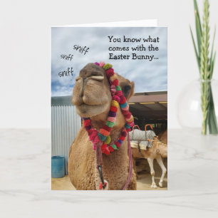 Drôle Camel Attend Pour Bunny Carte Pâques