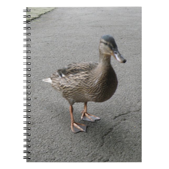Drôle Carnet de canard à pattes (Devant)