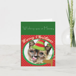 Drôle carte de Noël de chat siamois