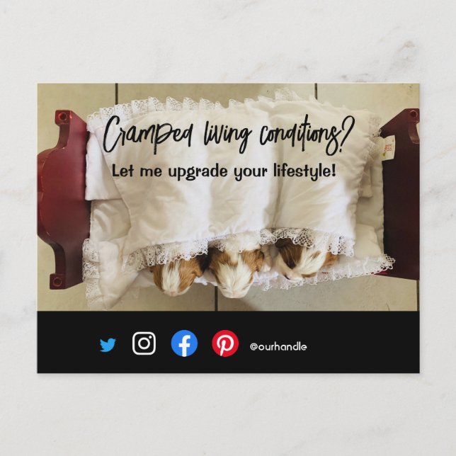 drôle carte postale de l'immobilier crampé chien v (Devant)