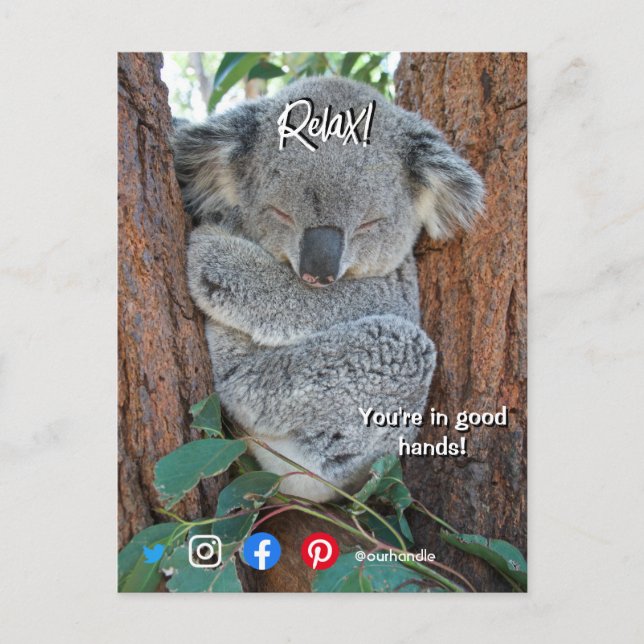 drôle carte postale immobilier détendu koala (Devant)