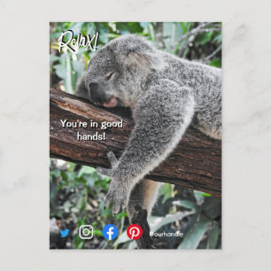 drôle carte postale immobilier détendu koala