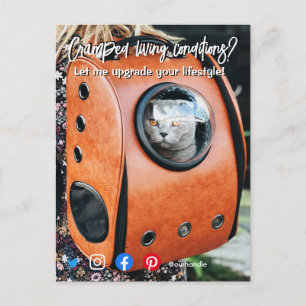 drôle carte postale immobilière cramponné chat viv