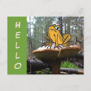 Drôle Carton de crapaud sur Toadstool HELLO Carte