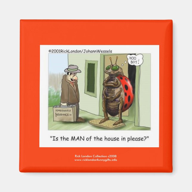 Drôle Carton Ladybug Sur Le Magnet De La Qualité (Devant)