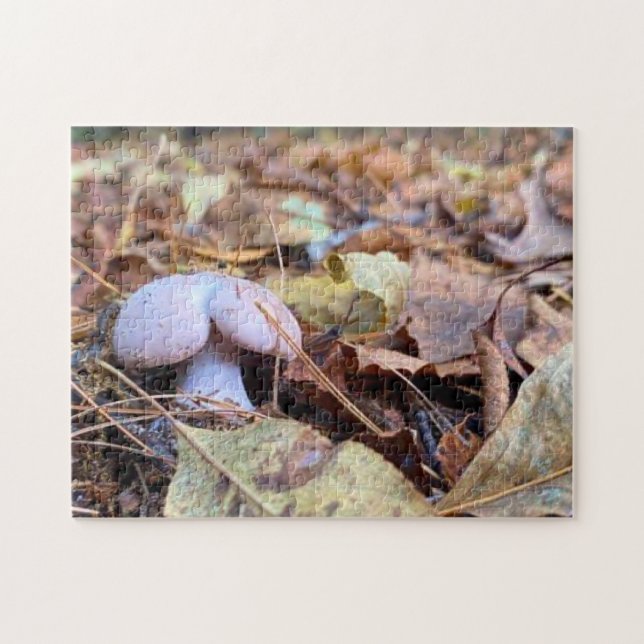 Drôle Champignons Butt Jigsaw Puzzle (Horizontal)