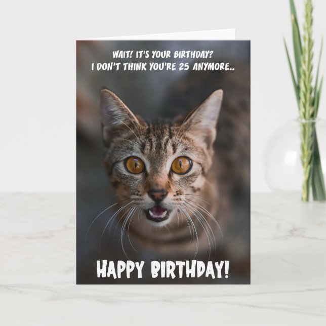 Drôle Chat Chat Carte de voeux Anniversaire (Devant)