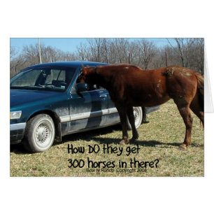 Drôle cheval du cheval "300 "