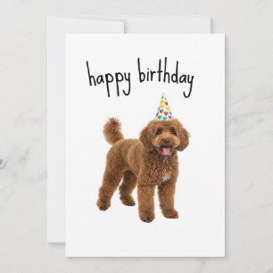 Drôle Chien Carte d'anniversaire - Poodle Maman ou